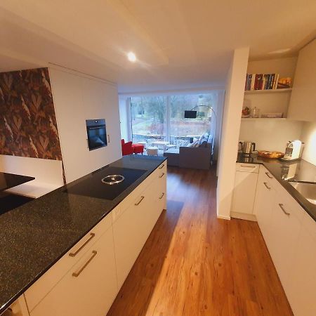 Neue Wohnung An Stadtrand Mit Parkplatz Ebikon Exteriér fotografie
