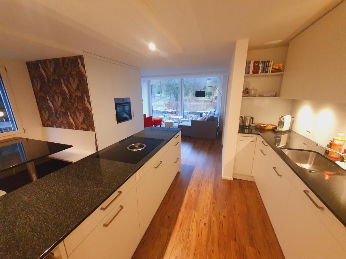 Neue Wohnung An Stadtrand Mit Parkplatz Ebikon Exteriér fotografie
