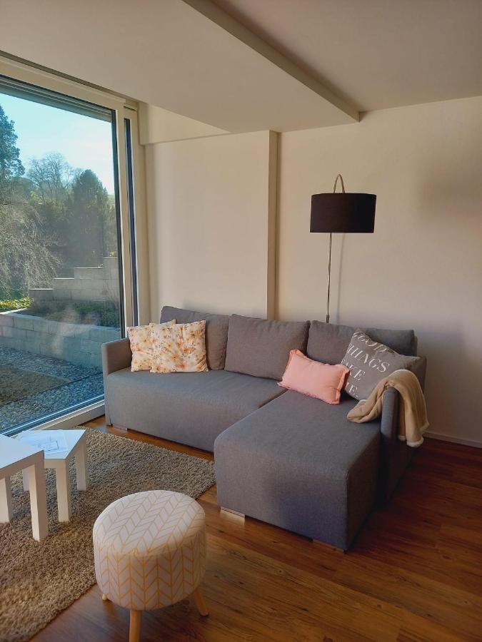 Neue Wohnung An Stadtrand Mit Parkplatz Ebikon Exteriér fotografie