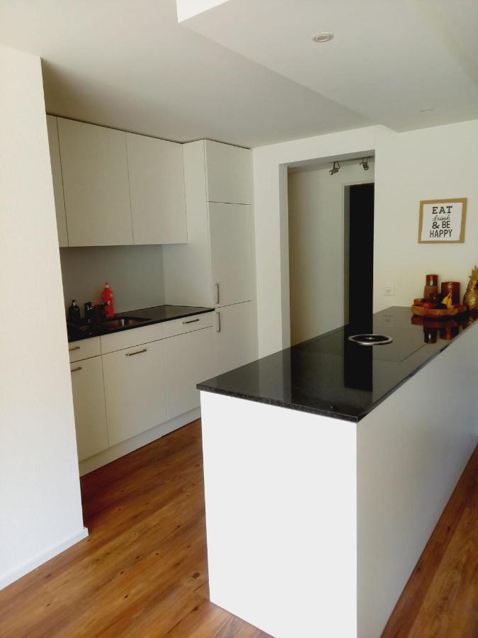 Neue Wohnung An Stadtrand Mit Parkplatz Ebikon Exteriér fotografie